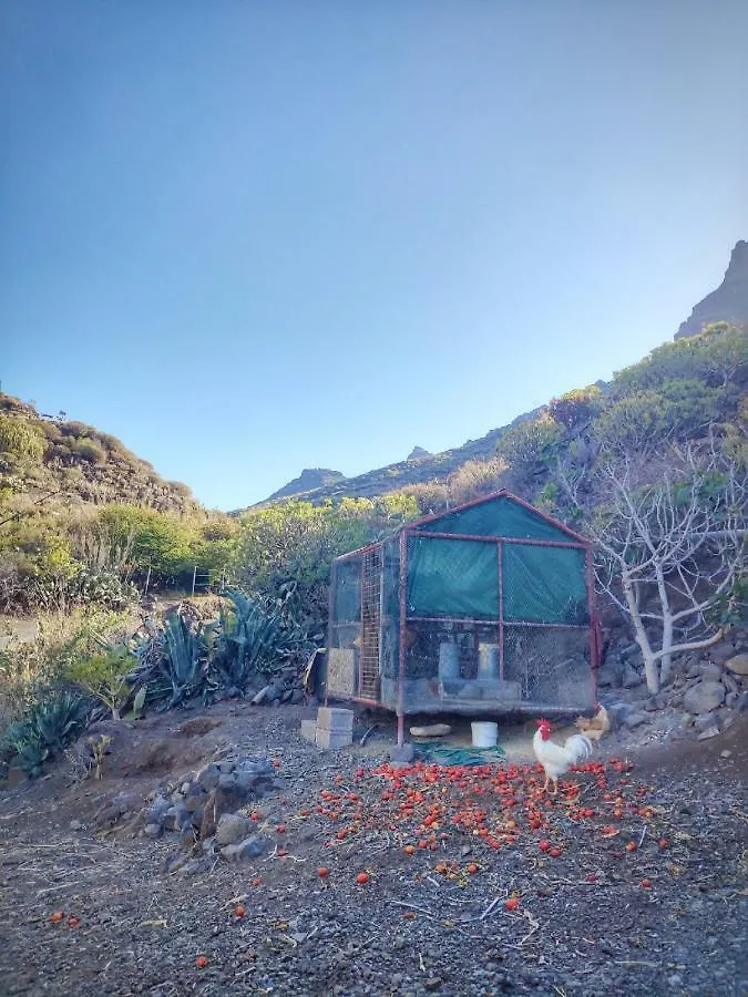 Country house Casas Blancas - Suite 2 Tasartico Spain