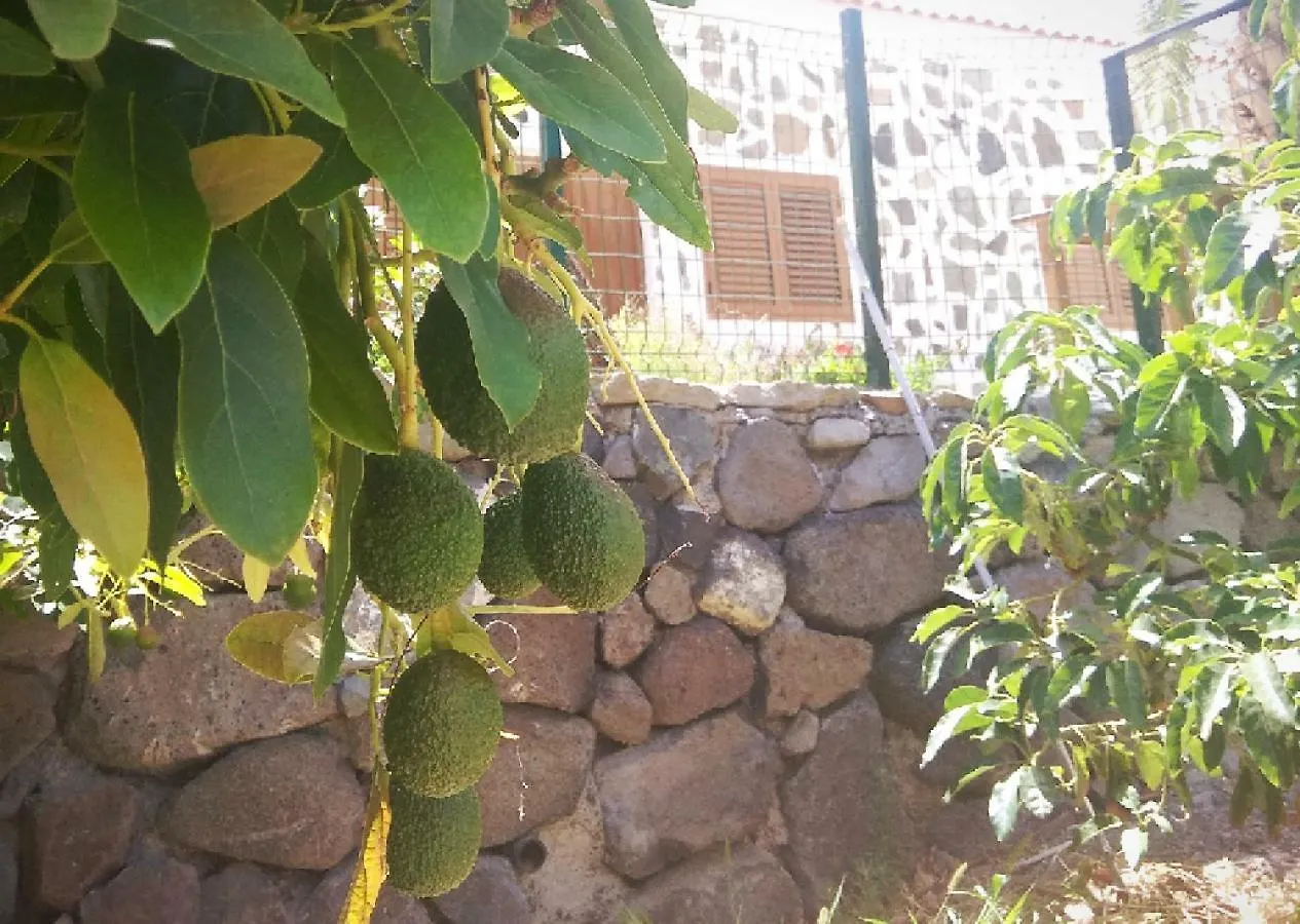 Casas Blancas - Suite 2 Tasartico Country house